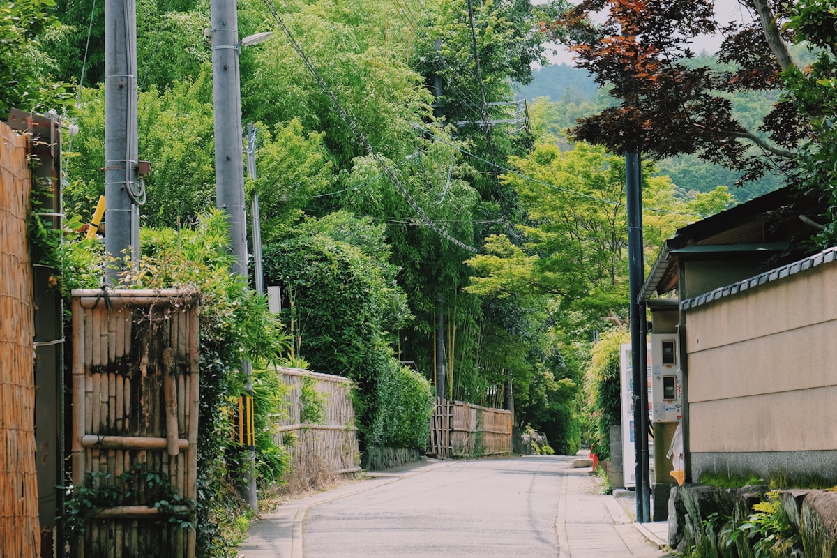 Wanderlust in Kyoto